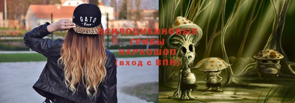 ешки Коряжма
