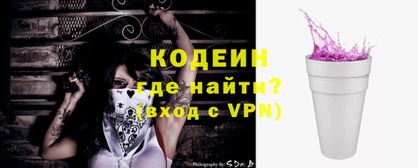 твердый Корсаков