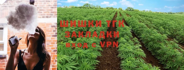 твердый Корсаков